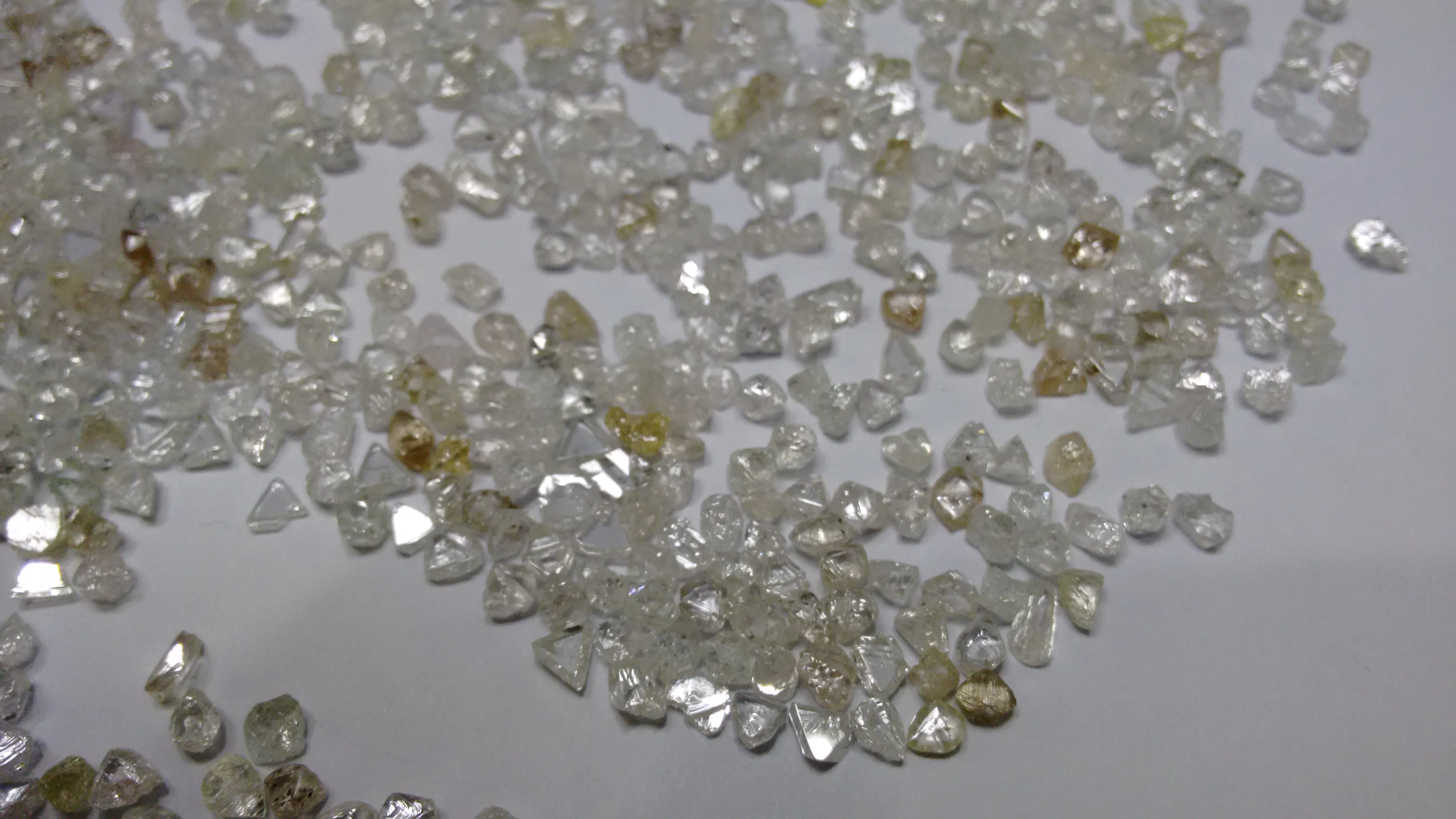 Trigon Surface Growths